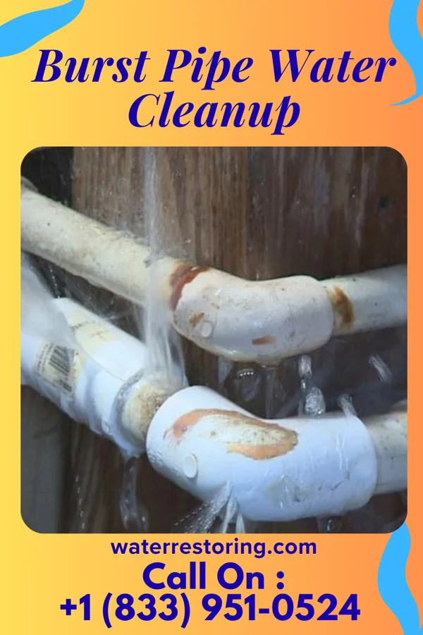 Burst Pipe Water Cleanup in Worthington, IA